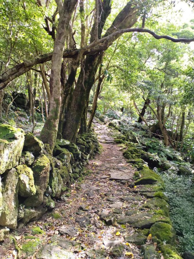 Alojamento Local M&I Lajes das Flores Eksteriør bilde